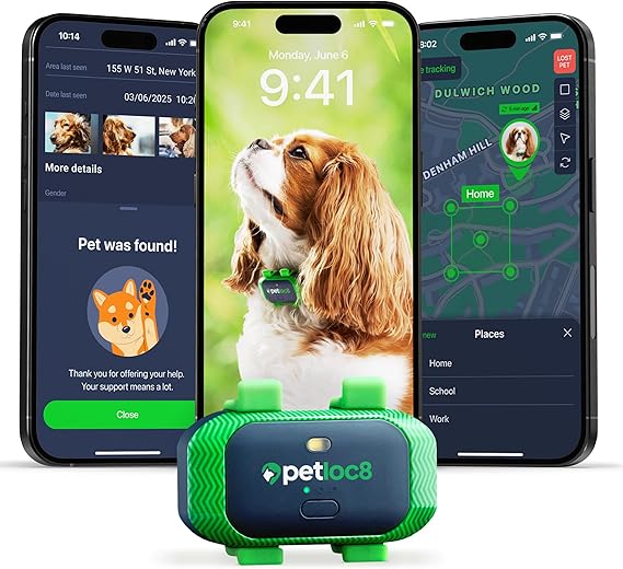 GPS Tracker for dog