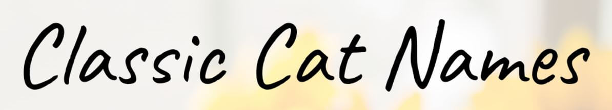 choose the perfect
        name for your furry friend